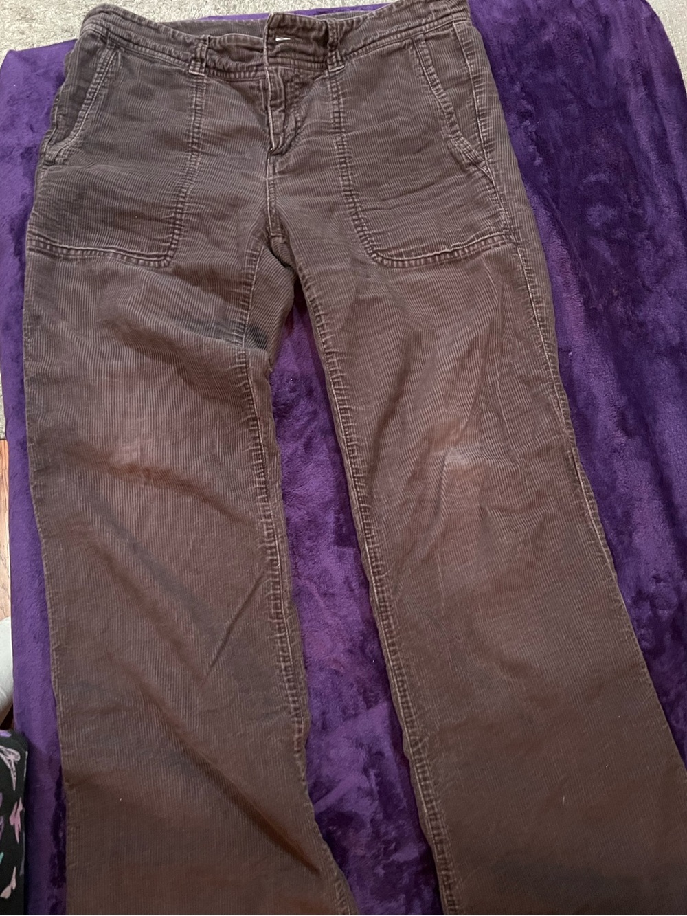 Patagonia Dark Brown Corduroy Women's Pants